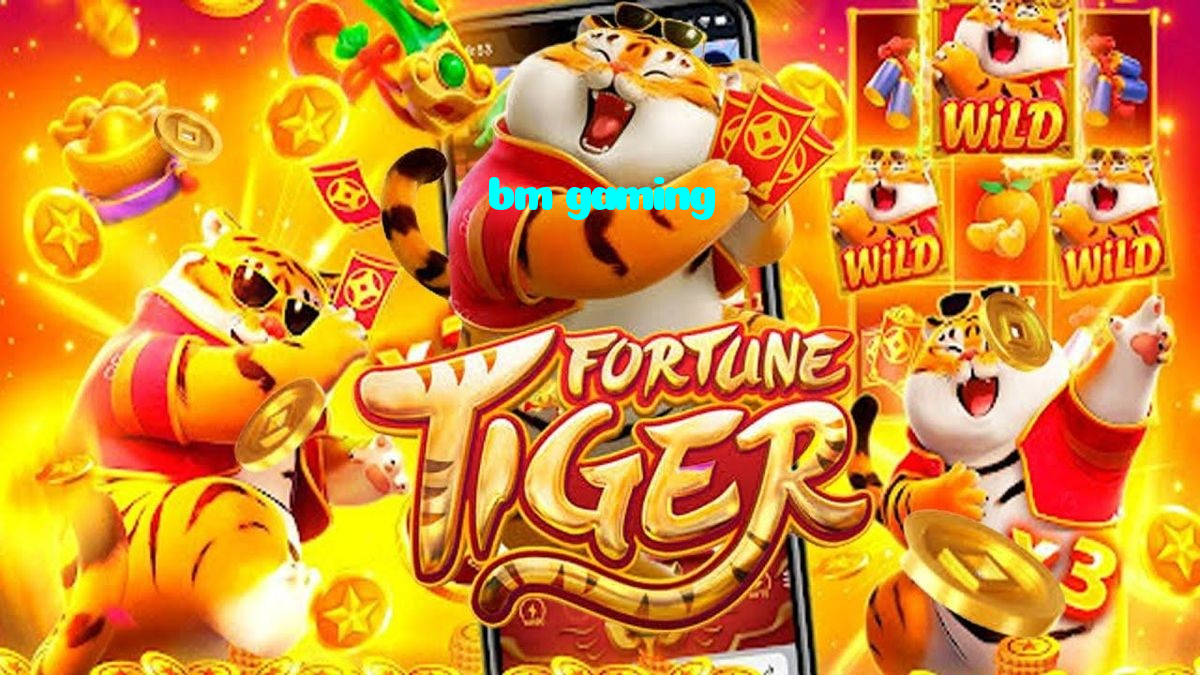 bm gaming casino presented on mobile device in Pakistan with slots and live games